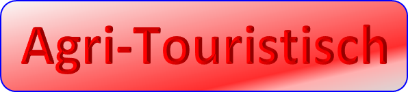 Button12
